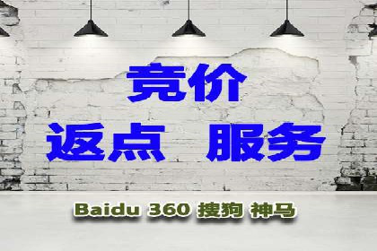 充值高返点背后的策略与技巧：案例分析